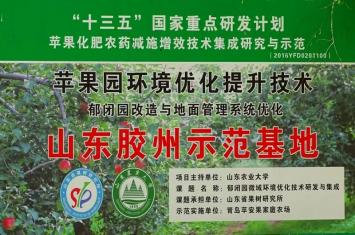 胶州铺集青岛苹安果家庭农场：蜂舞芳菲果农醉 不负田园好春光
